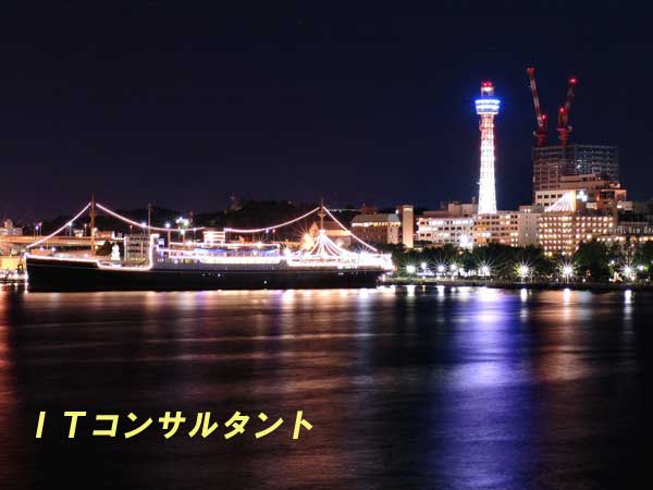 �L����Ѓg���C�A���R�[�|���[�V���� �h�s�R���T���^���g