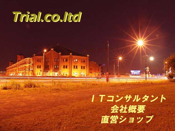 �L����Ѓg���C�A���R�[�|���[�V����  ���E����E�o�ŁE����E���Ɣh��